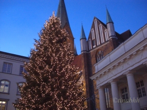 Weihnachtstanne mit 10.000 Lichtern vor dem Schweriner Dom